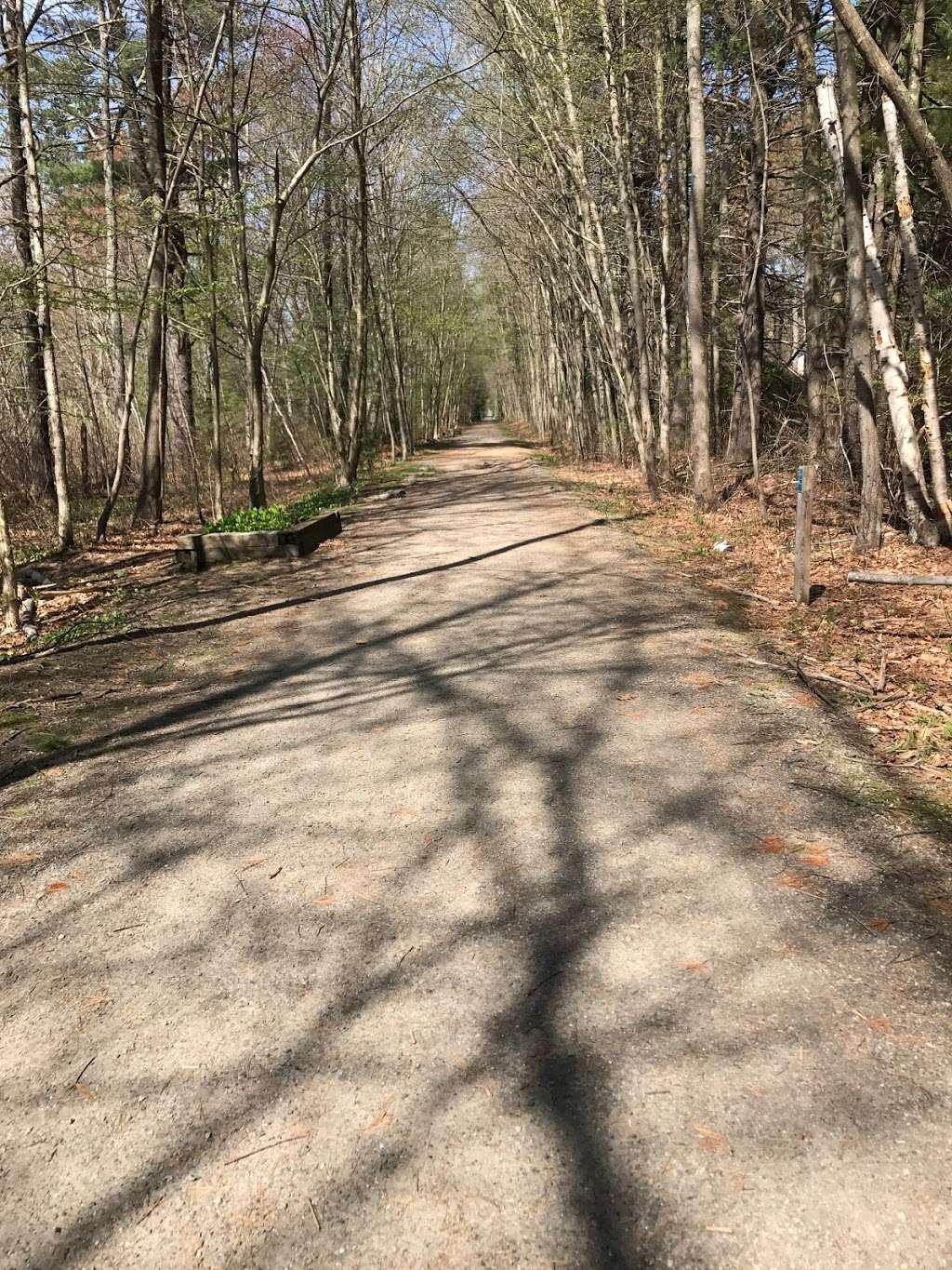 Trail head | Salisbury Point Ghost Trail, Salisbury, MA 01952, USA