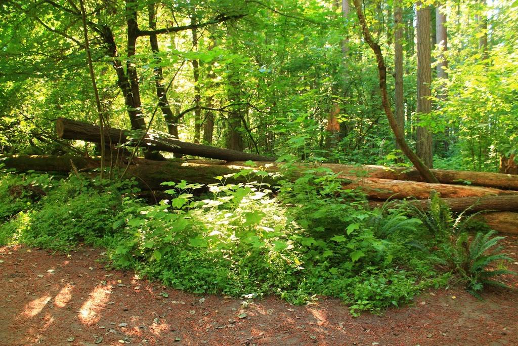 Hyland Woods Natural Area | Hyland Forest Park Trail, Beaverton, OR 97008 | Phone: (503) 645-6433