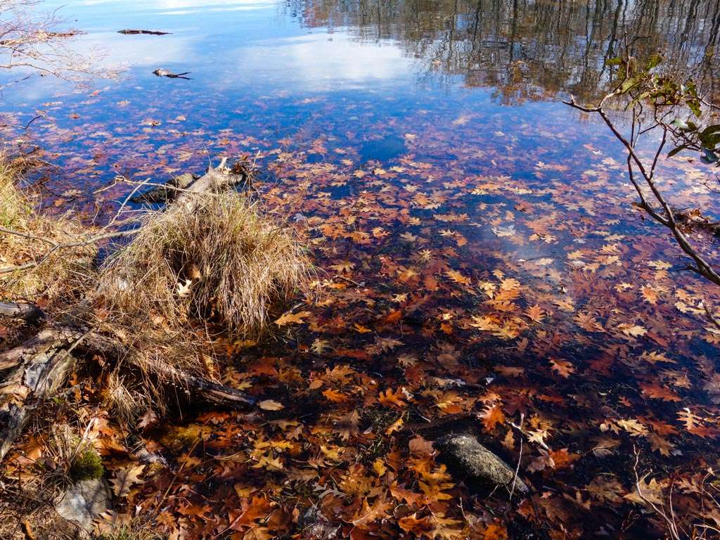 Lake Sebago | Dater Mountain Nature Park, Southfields, NY 10975, USA