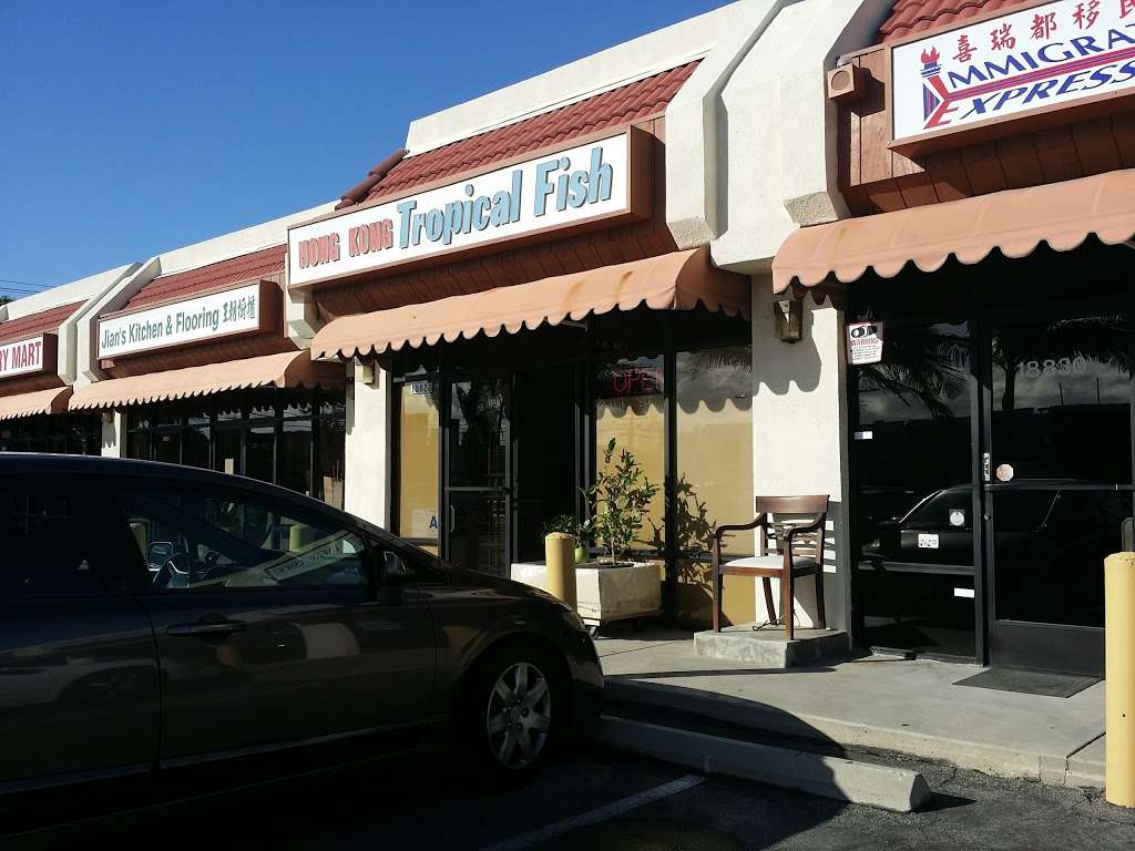 Hong Kong Tropical Fish | 18828 Norwalk Blvd, Artesia, CA 90701, USA | Phone: (562) 402-7128