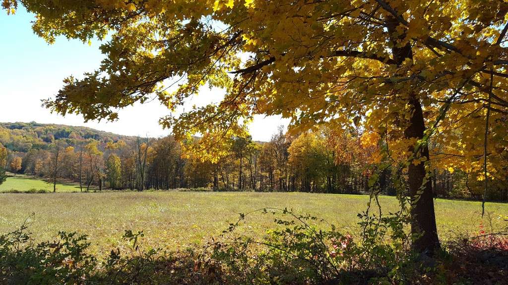 Gurski Farm Open Space | Brookfield, CT 06804, USA