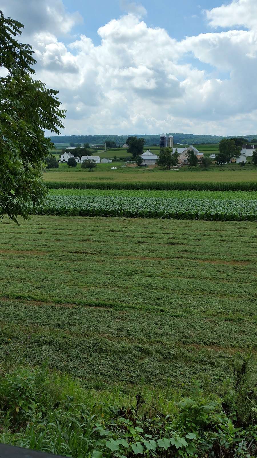 Carpenters Cemetary - Ferree | 67-99 Black Horse Rd, Paradise, PA 17562