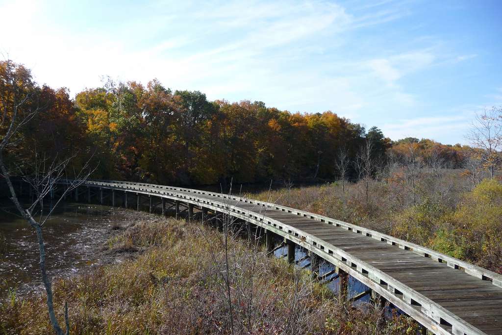 Patuxent River Park - Jug Bay Natural Area | 16000 Croom Airport Rd, Upper Marlboro, MD 20772 | Phone: (301) 627-6074