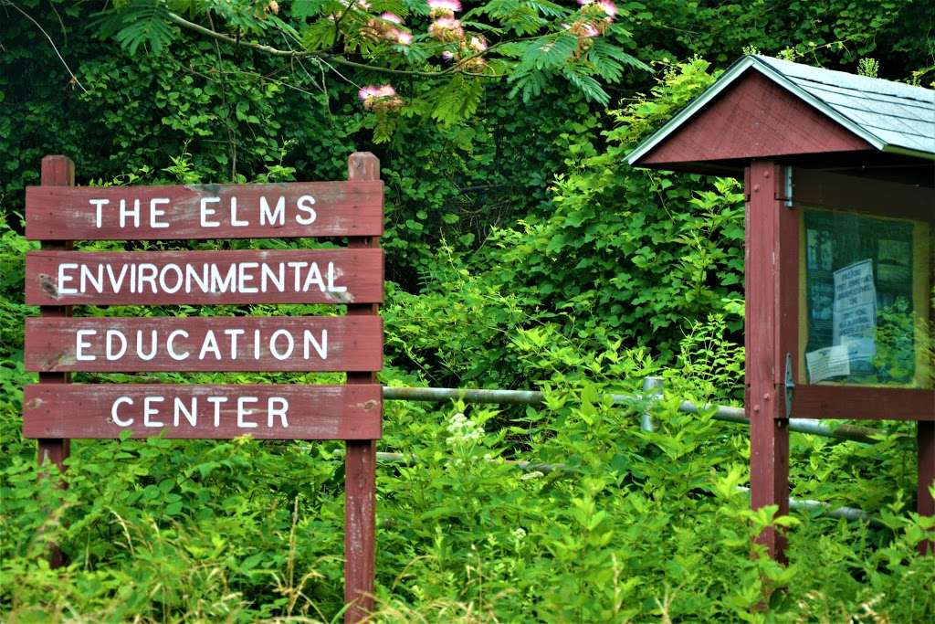 Elms Environmental Education Center | 49300 St. James Church Rd, Lexington Park, MD 20653, USA | Phone: (301) 862-3964