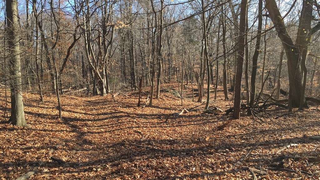 Juhring Nature Preserve | Dobbs Ferry, NY 10522