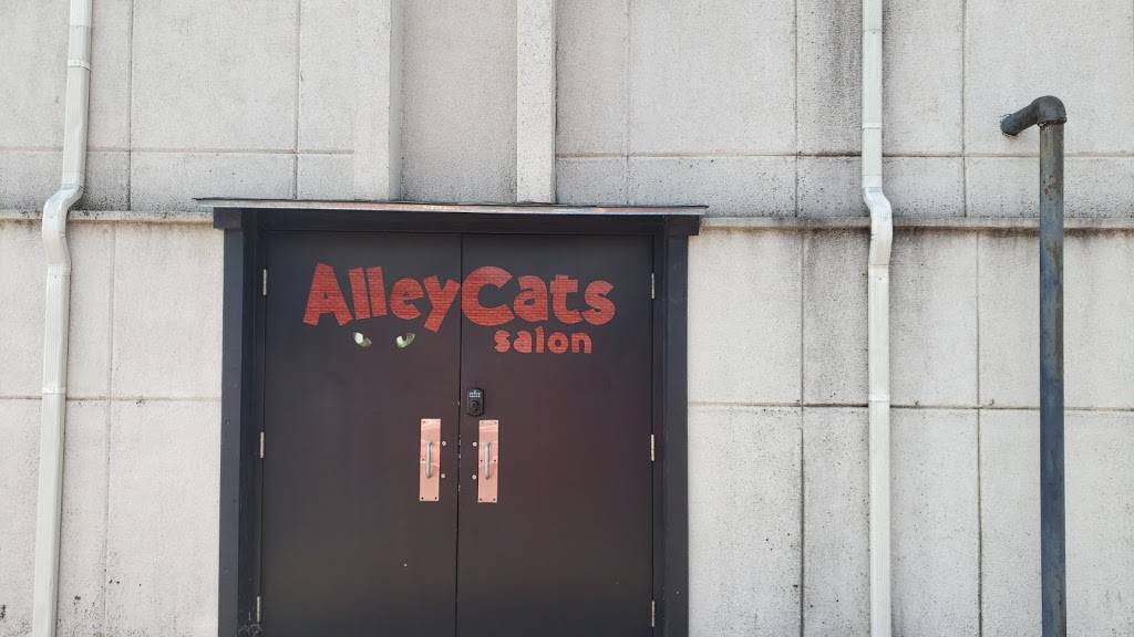 AlleyCats Salon | 3801 NW 63rd St Bldg 3, Ste 133, Oklahoma City, OK 73116 | Phone: (405) 607-2287