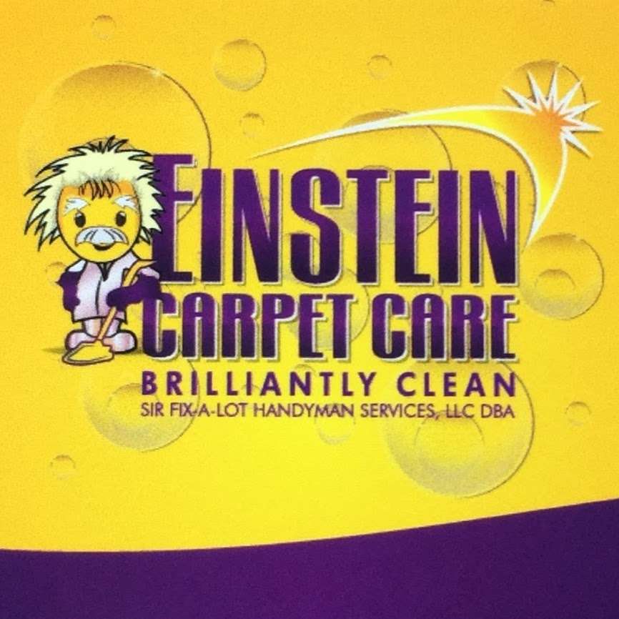 Einstein Carpet Care | 12257 Rebeccas Run Dr, Winter Garden, FL 34787 | Phone: (407) 388-8600