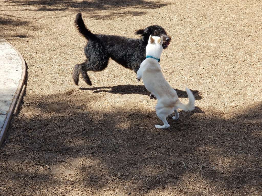 Ann D. LHeureux Memorial Dog Park | Carlsbad Village Dr, Carlsbad, CA 92008, USA | Phone: (760) 602-4680