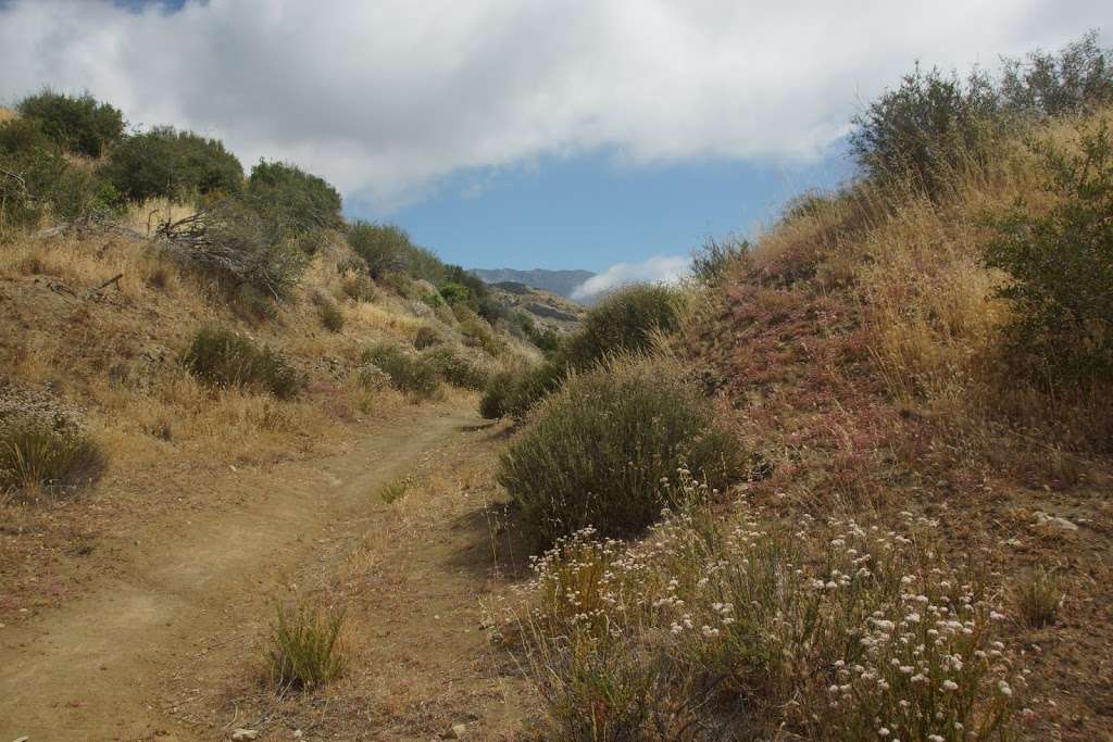 Dough Flat Trailhead | Squaw Flat Rd, Maricopa, CA 93252, USA