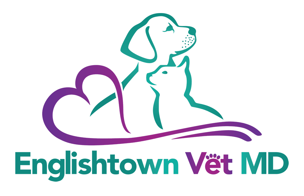 Englishtown Vet MD | 22 Water St, Englishtown, NJ 07726, USA | Phone: (732) 786-8877