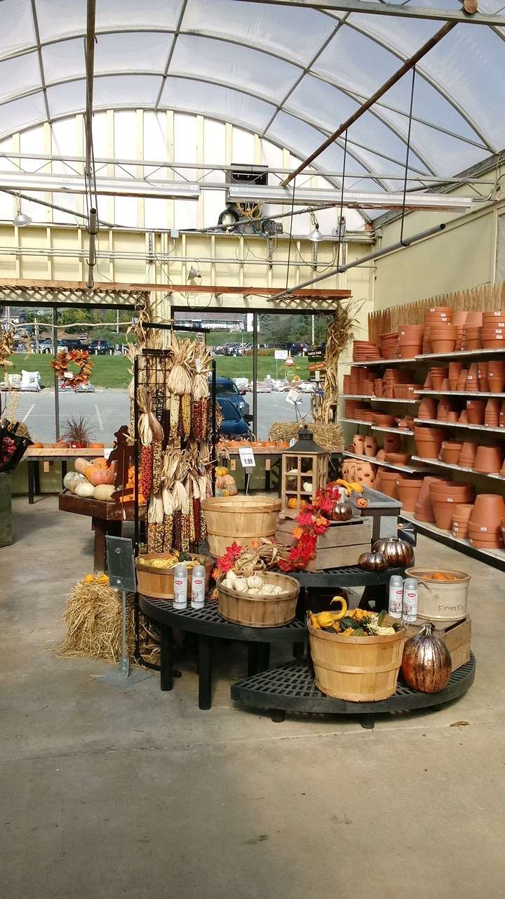 Stauffers of Kissel Hill Home & Garden Store - East York Locatio | 4450 Lincoln Hwy, York, PA 17406, USA | Phone: (717) 840-4026