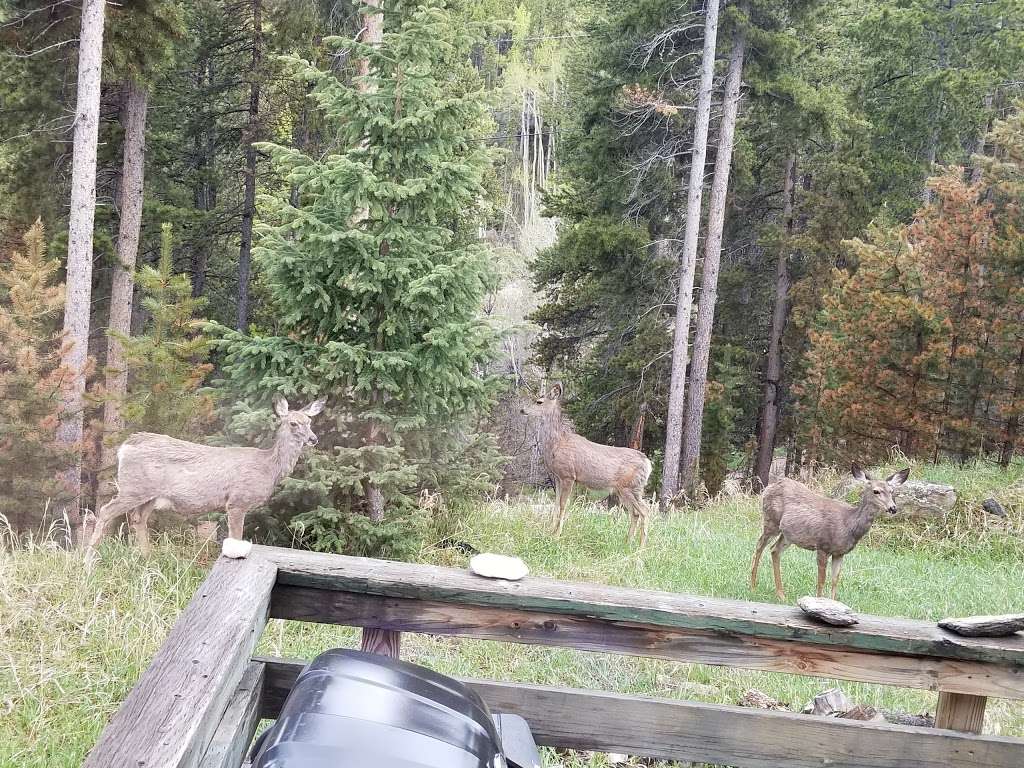 Evergreen Colorados Log Cabin & Wilderness Lodging | 199 Sioux Trail, Evergreen, CO 80439 | Phone: (303) 946-0726