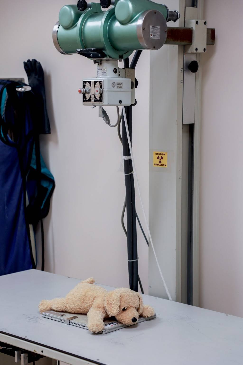 Oak Grove Animal Hospital | 110 Robbins Rd, Durham, NC 27703, USA | Phone: (919) 598-0001