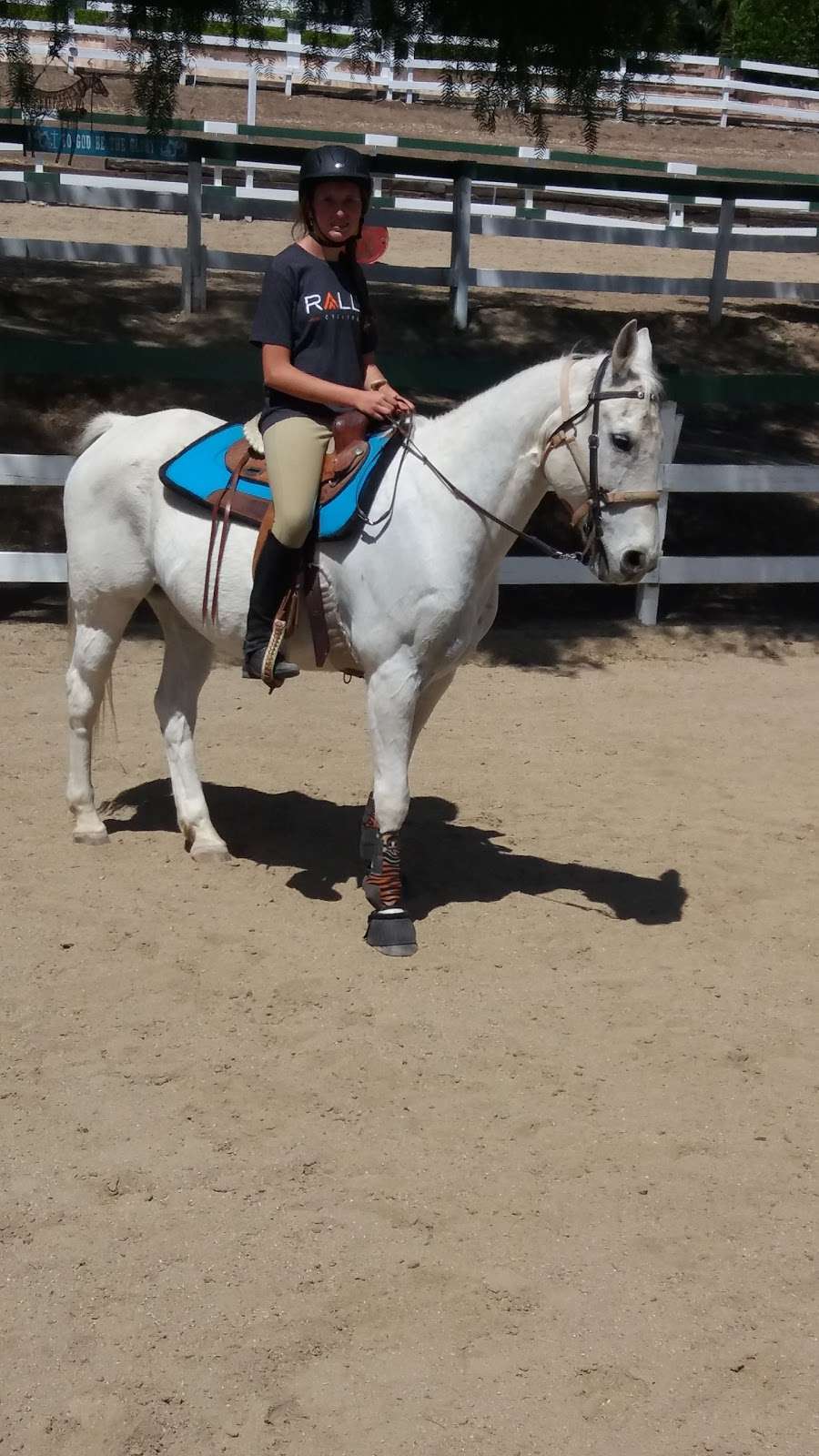 Glory Reins Riding School | 1455 Tierra Rejada Rd, Simi Valley, CA 93065, USA | Phone: (818) 282-3707