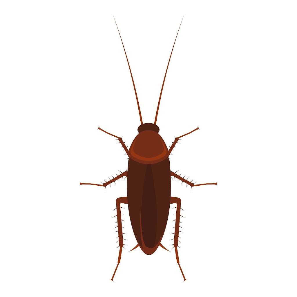 LoveBug Pest Control | 17170 Jordan Rd Ste. 402, Selma, TX 78154, USA | Phone: (210) 396-7100 LoveBug Pest Control | 17170 Jordan Rd Ste. 402, Selma, TX 78154, USA | Phone: (210) 396-7100