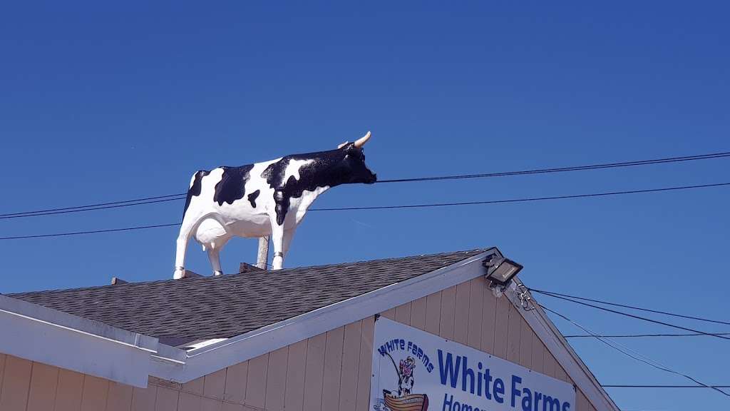 White Farms Icecream on the Causeway | 76 Essex Ave, Gloucester, MA 01930, USA | Phone: (978) 559-7489