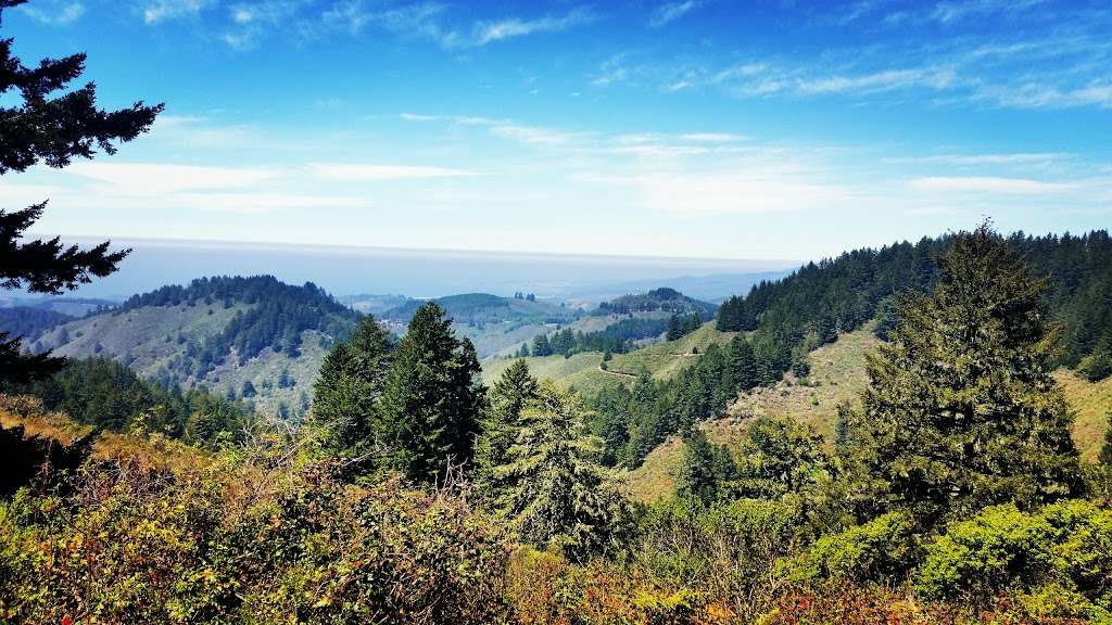 North Ridge Trail, Purisima Creek Redwoods Open Space Preserve | 13130 Skyline Blvd, Redwood City, CA 94062, USA | Phone: (650) 691-1200