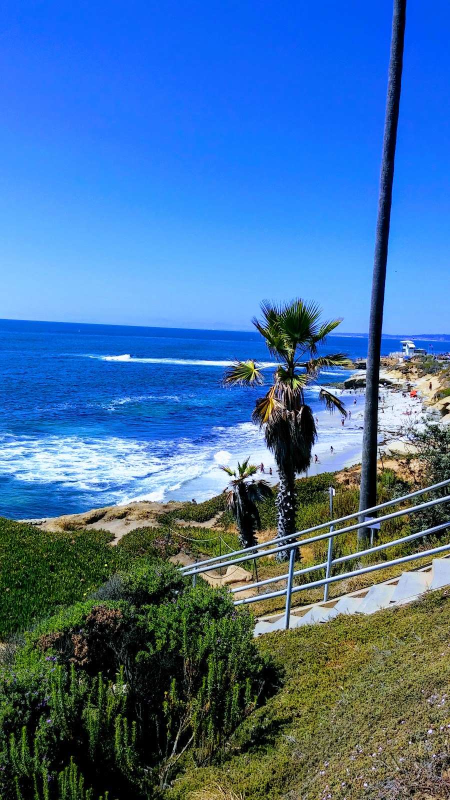 Cuvier Park | 590 Coast Blvd S, La Jolla, CA 92037, USA | Phone: (619) 235-1169