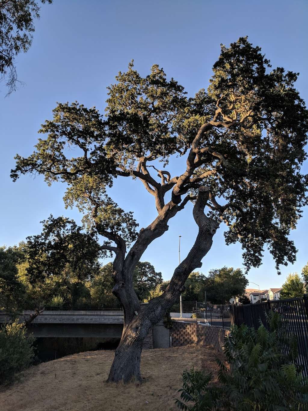 Tassajara Creek Regional Park | Tassajara Rd, Dublin, CA 94568, USA | Phone: (888) 327-2757