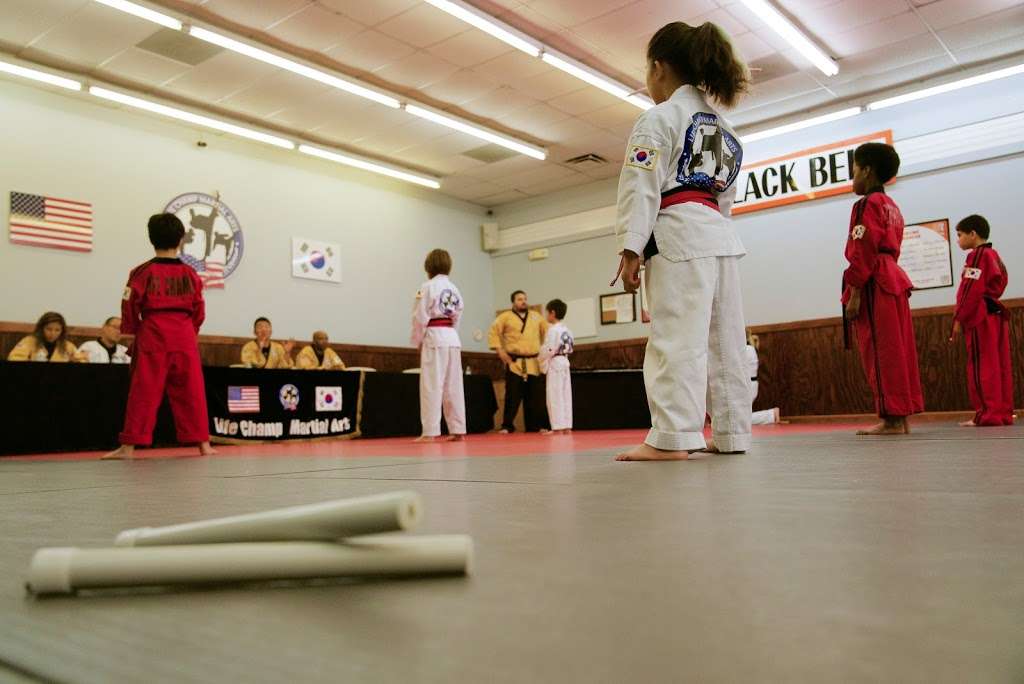 Life Champ Martial Arts - Lorton / Fairfax Station | 8900 Village Shops Dr, Fairfax Station, VA 22039 | Phone: (703) 690-5425