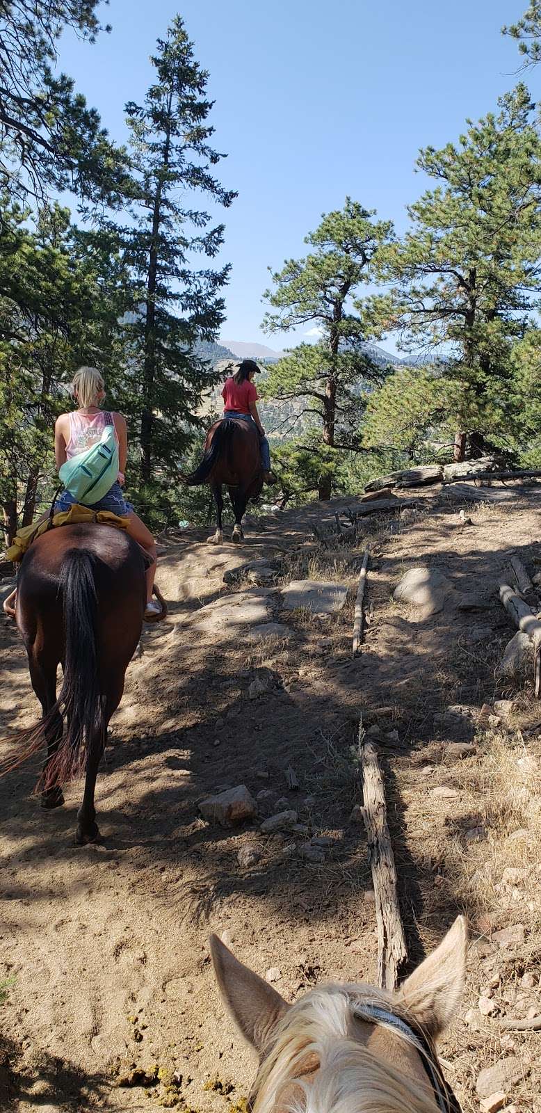 Cowpoke Corner Corral | 2166 CO-66, Estes Park, CO 80517, USA | Phone: (970) 586-5890