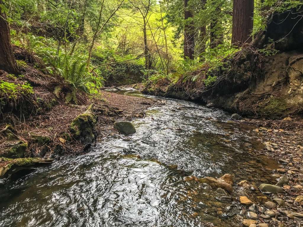 Purisima Creek Open Space North Parking Lot | 13184 Skyline Blvd, Redwood City, CA 94062, USA