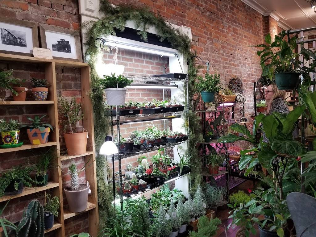City Grows | 5208 Butler St, Pittsburgh, PA 15201, USA | Phone: (412) 781-2082