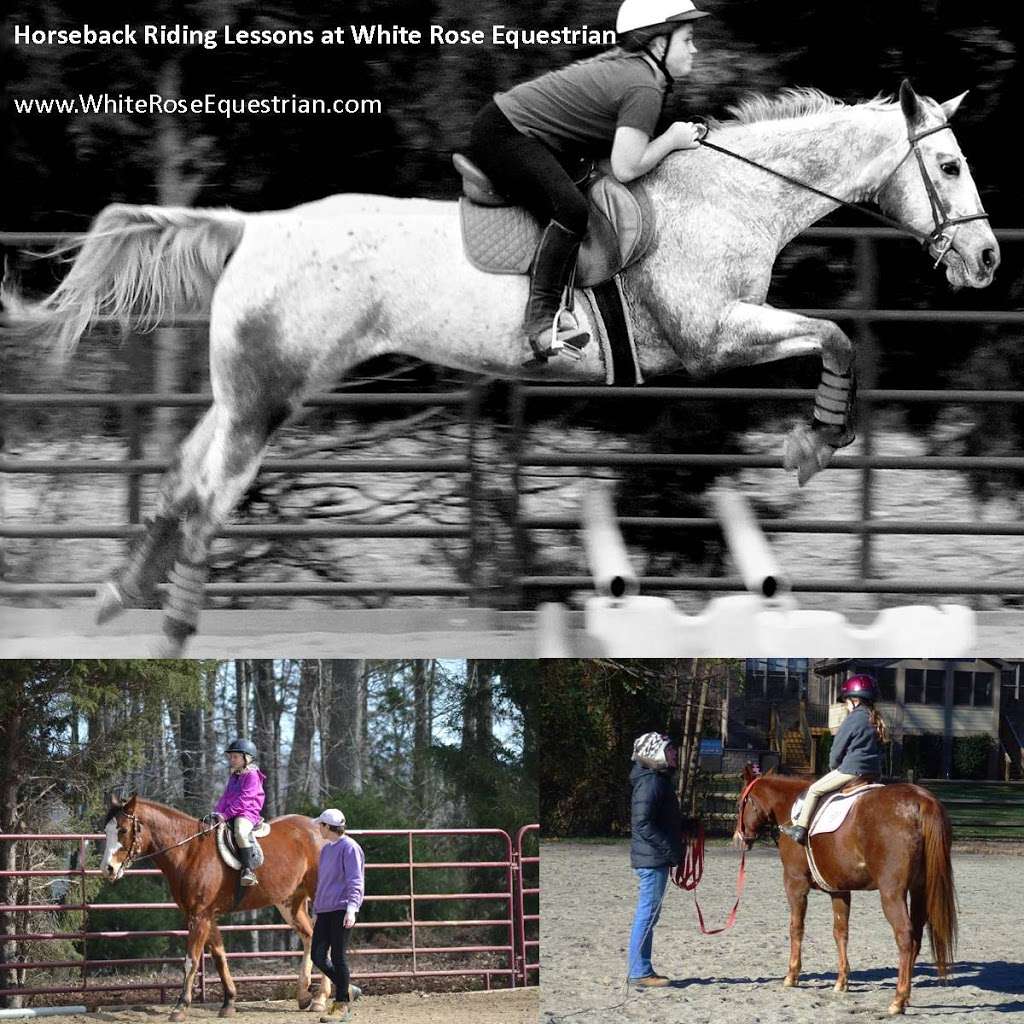 White Rose Equestrian | 1966 Magnolia Grove Rd, Iron Station, NC 28080, USA | Phone: (704) 559-9122