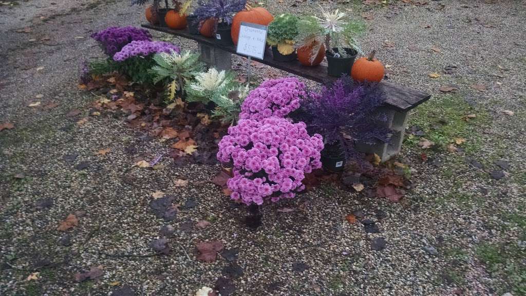Maple Bank Farm | 57 Church St, Roxbury, CT 06783, USA | Phone: (860) 354-7038