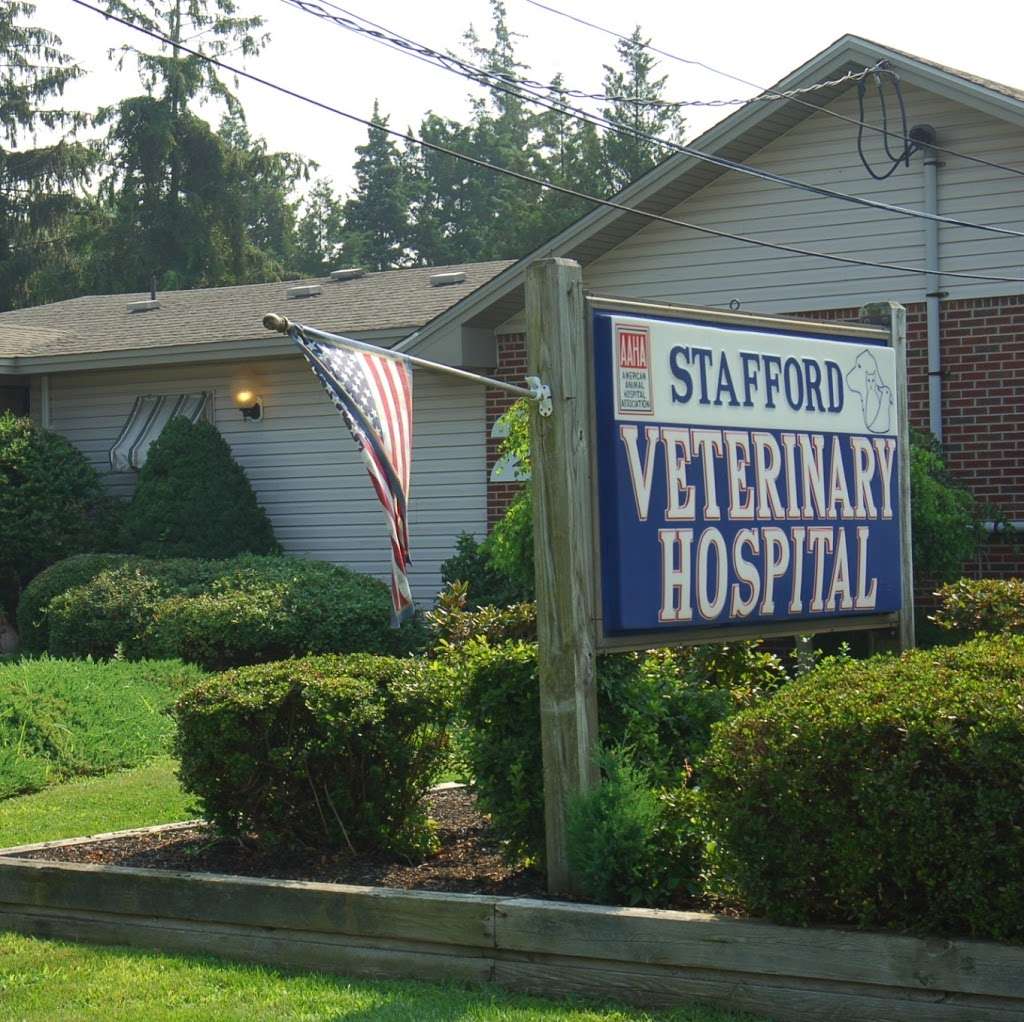 Stafford Veterinary Hospital | 211 N Main St, Manahawkin, NJ 08050 | Phone: (609) 296-7571