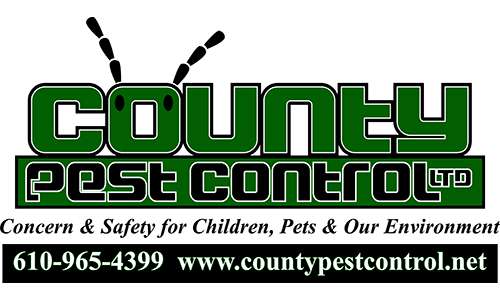 County Pest Control | 4984 Mill Rd, Emmaus, PA 18049 | Phone: (610) 965-4399