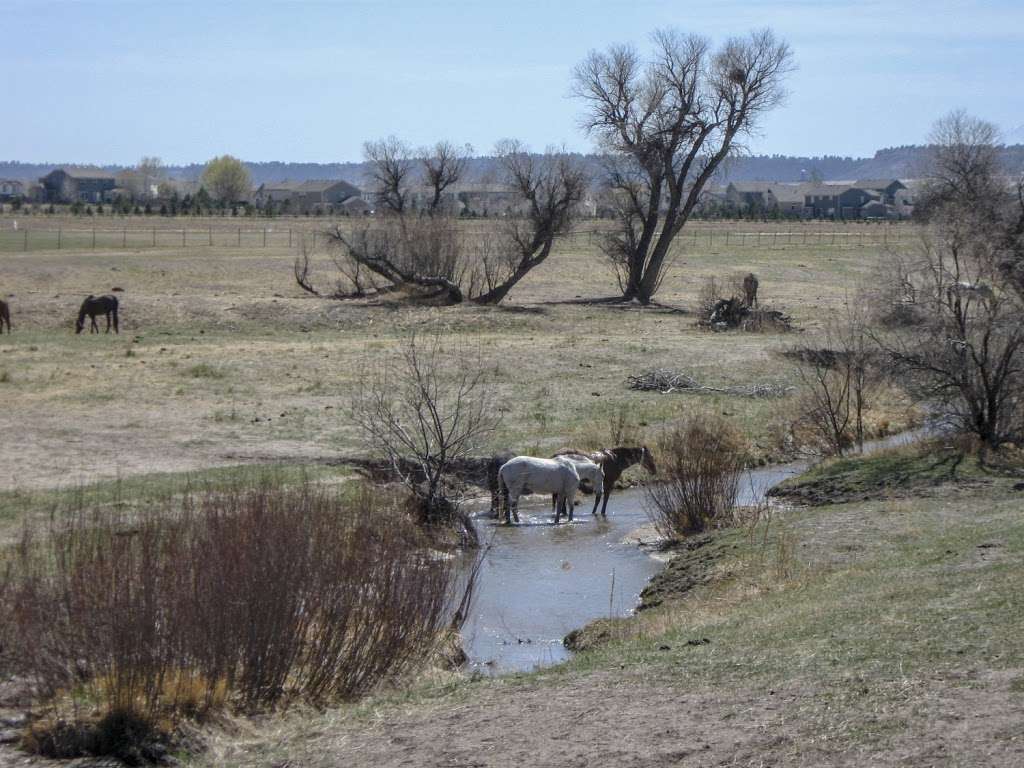 Cherry Creek Trail Pinery Trailhead | Unnamed Rd, Parker, CO 80134, USA