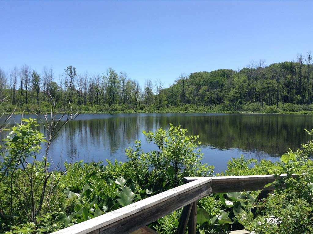 Spicer Lake Nature Preserve | New Carlisle, IN 46552, USA | Phone: (574) 654-3155