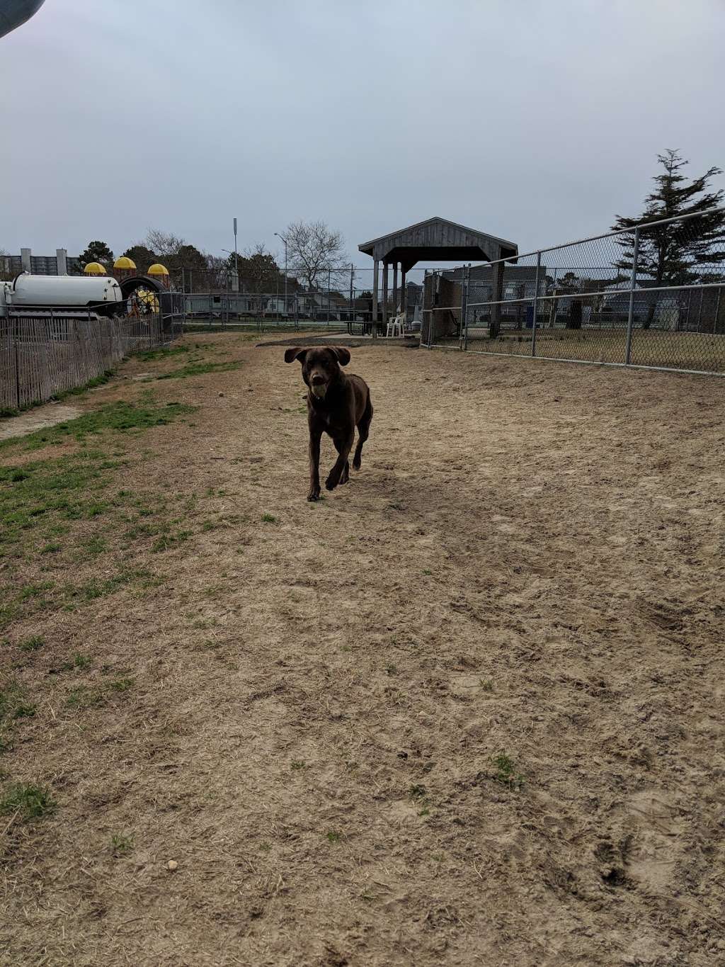 Dog Playground | 502 94th St, Ocean City, MD 21842, USA | Phone: (410) 250-0125