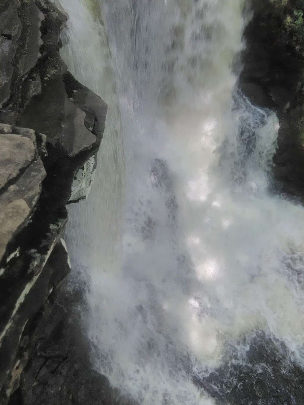 Adams Falls at Ricketts Glen | 288 PA-118, Benton, PA 17814, USA