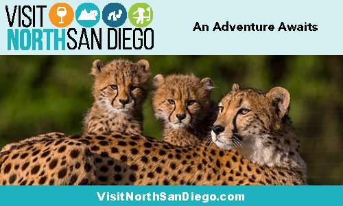 Visit North San Diego | 10875 Rancho Bernardo Rd Suite 104, San Diego, CA 92127, USA | Phone: (858) 487-1767