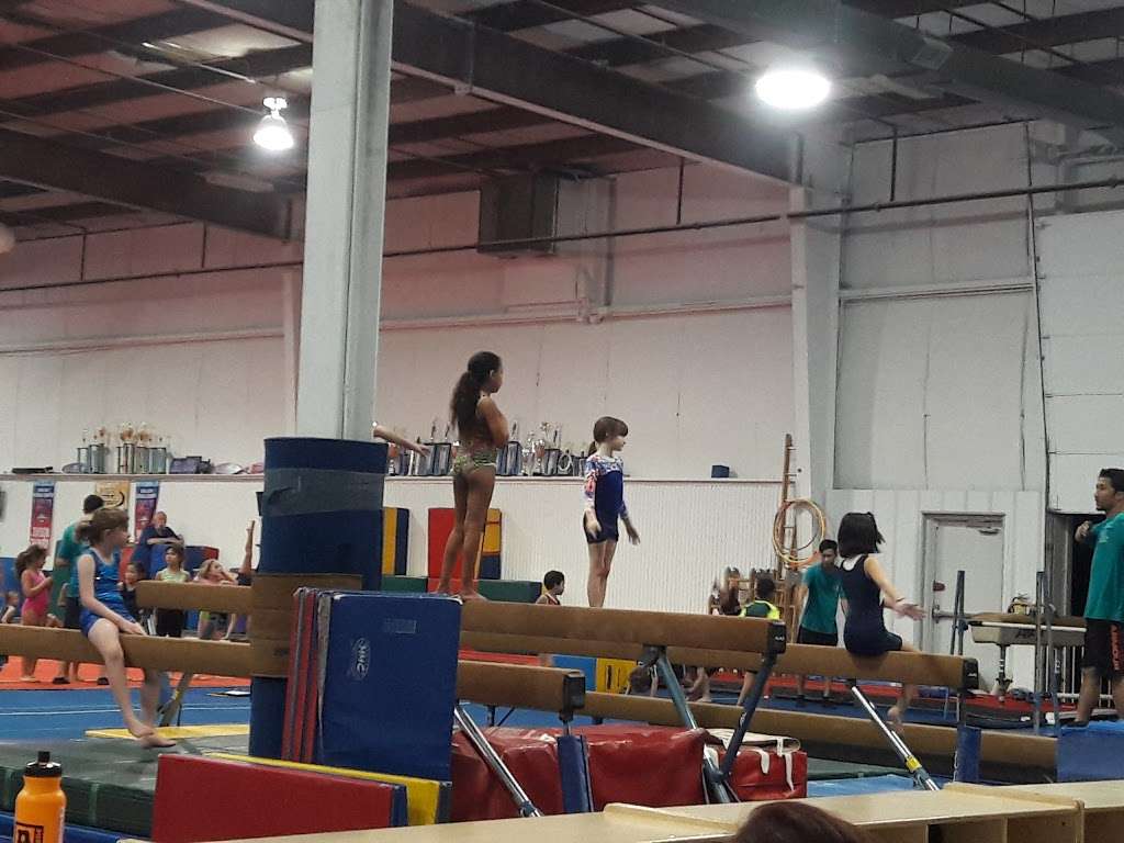 Capital Gymnastic | 10400 Premier Ct, Burke, VA 22015, USA | Phone: (703) 239-0044