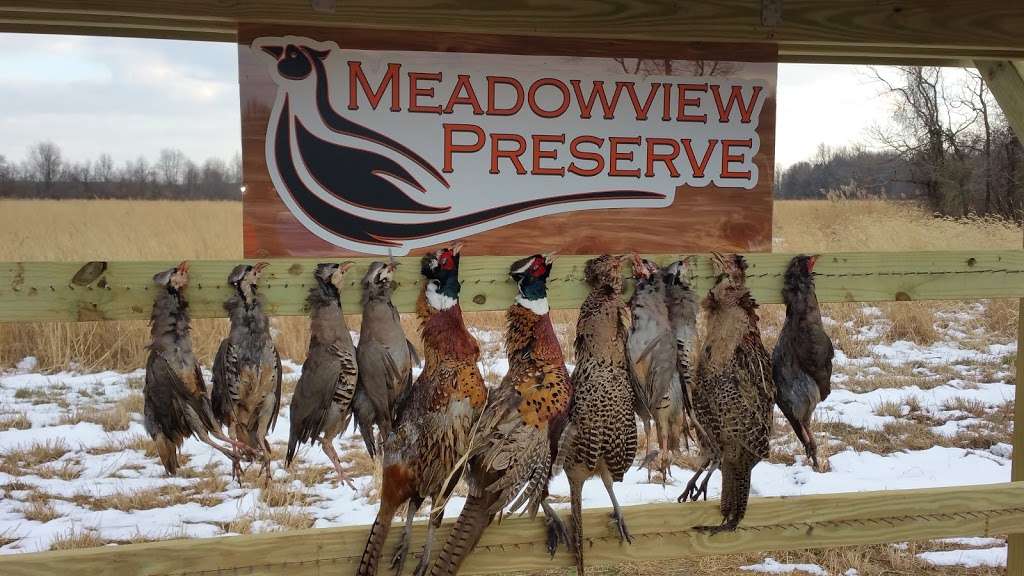 Meadowview Preserve | 26 Pancoast Rd, Hancocks Bridge, NJ 08038, USA | Phone: (856) 935-8077