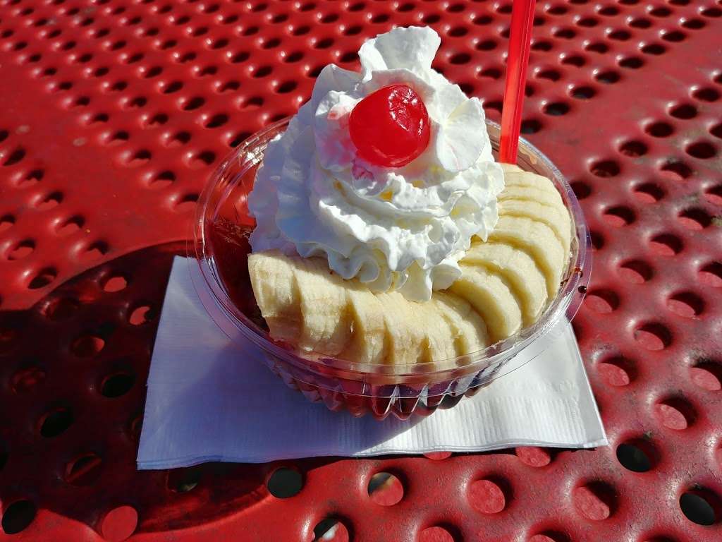 Brusters Real Ice Cream | 855 Cheney Hwy, Titusville, FL 32780, USA | Phone: (321) 385-0400