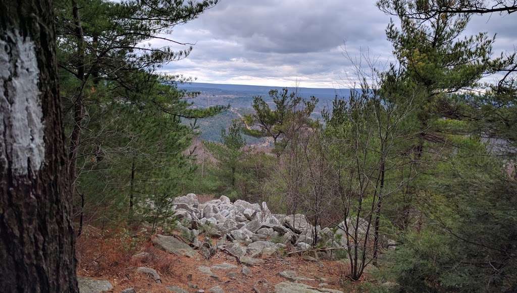 Weathering Knob | Appalachian Trail, Danielsville, PA 18038