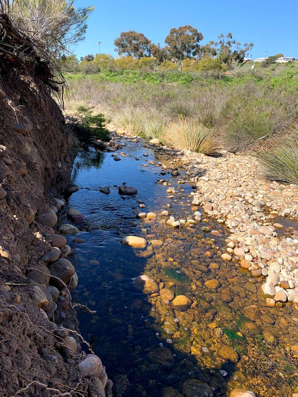 Navajo Canyon | Navajo Canyon Trail, San Diego, CA 92120, USA