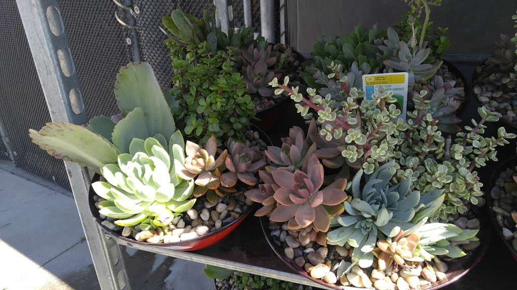 Lowes Garden Center | 14333 Bear Valley Rd, Victorville, CA 92392, USA | Phone: (760) 949-9565