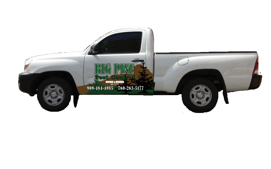 Big Pine Pest Control | 10441 Palo Alto St, Rancho Cucamonga, CA 91730, USA | Phone: (909) 484-4985