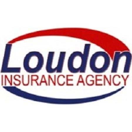 Loudon Insurance Agency LLC | 12410 N Woodbine Ct, Platte City, MO 64079, USA | Phone: (816) 699-0726