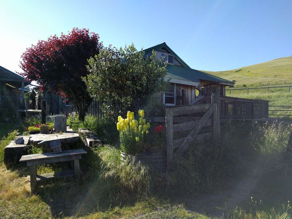 Cow Track Ranch | 5730 Nicasio Valley Rd, Nicasio, CA 94946, USA | Phone: (415) 662-2321