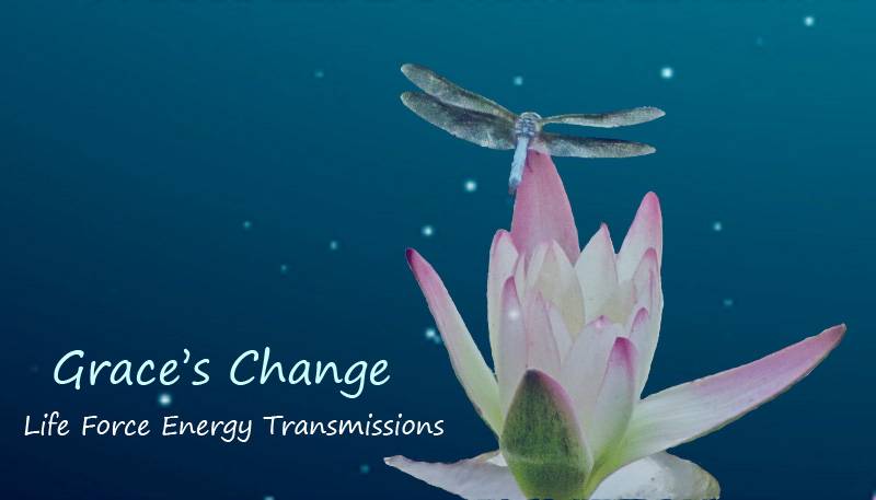 Graces Change | 2002 E Santa Clara Ave h2, Santa Ana, CA 92705, USA | Phone: (714) 265-9034