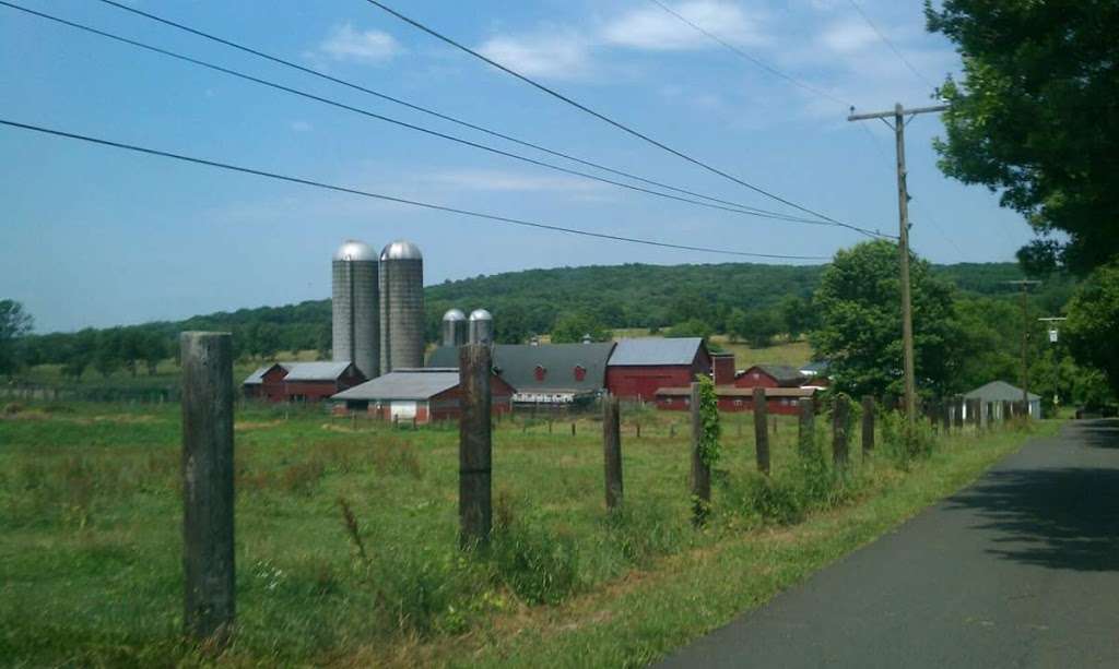 Readington River Buffalo Farm | 937 County Rd 523, Flemington, NJ 08822, USA | Phone: (908) 806-0030