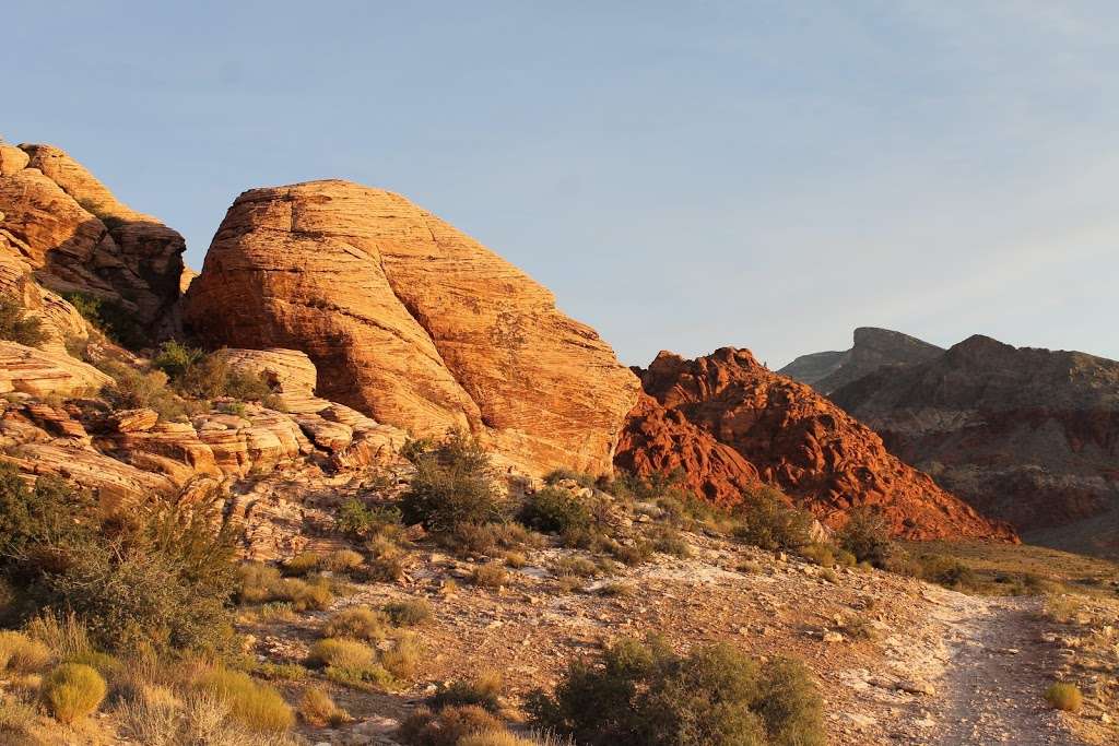 Red Rock Canyon National Conservation Area | 1000 Scenic Loop Dr, Las Vegas, NV 89161 | Phone: (702) 515-5350