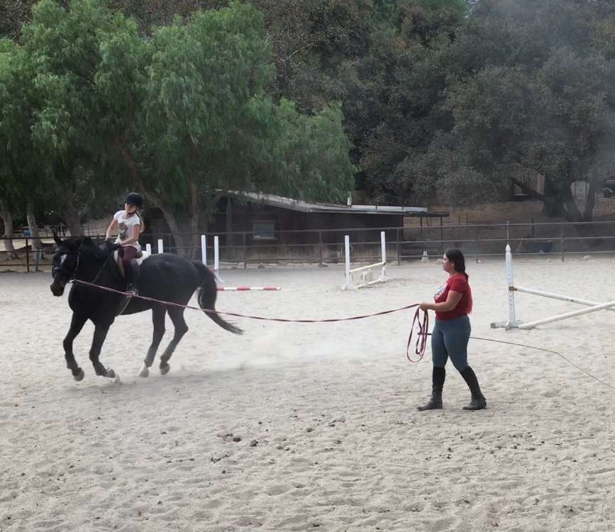 Canty Rune Training Stables | 10480 Creek Rd, Oak View, CA 93022, USA | Phone: (805) 203-3064