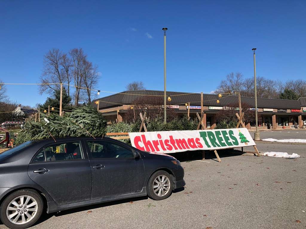 Fresh Cut Christmas Trees | 2593 NY-52, Hopewell Junction, NY 12533, USA | Phone: (845) 224-5556